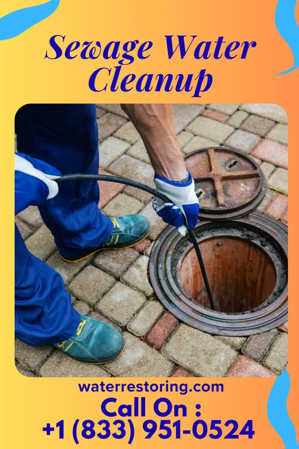 Sewage Water Cleanup in Maben, MS